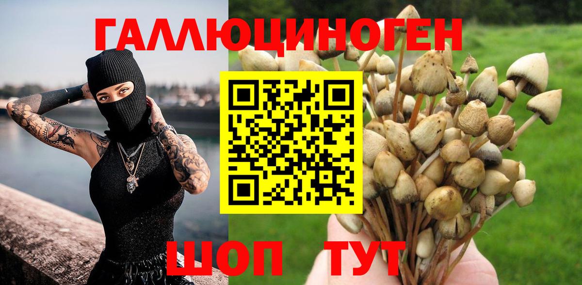 Псилоцибиновые грибы мицелий  Галлюциногенные грибы Psilocybine cubensis  цены наркотик  Вход с VPN  Ангарск 